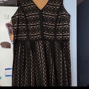 LOFT Black and Cream Lace Midi Dress